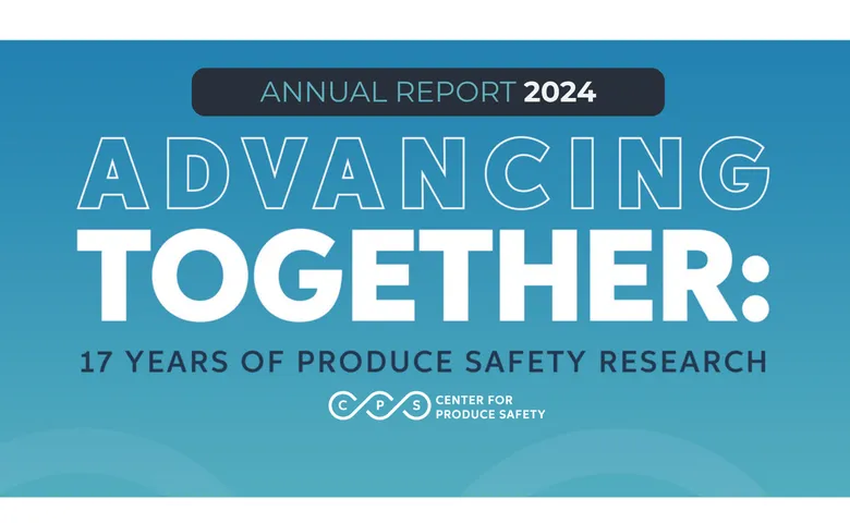 ANNUAL REPORT 2024 9