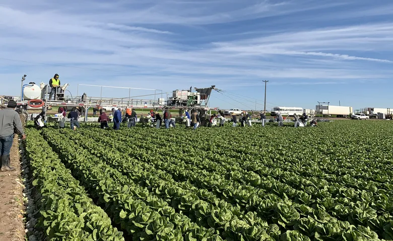 Harvest tvs image 1