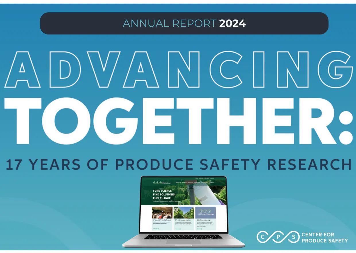 ANNUAL REPORT 2024 4