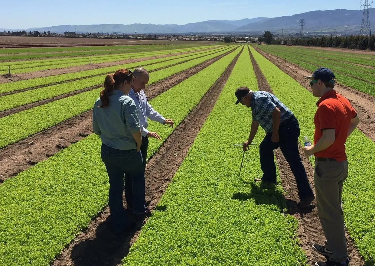 Field research KTTF 4 commodities