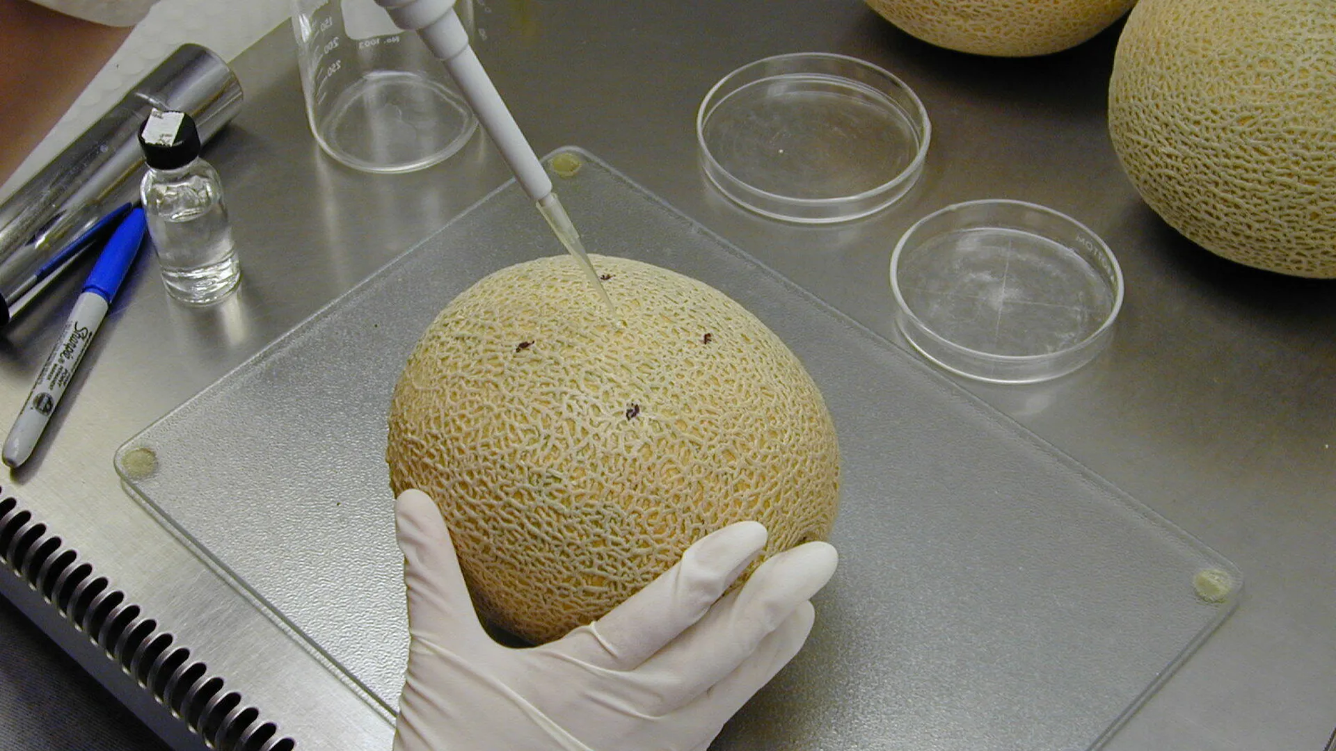 Cps sourced researchers research 11
